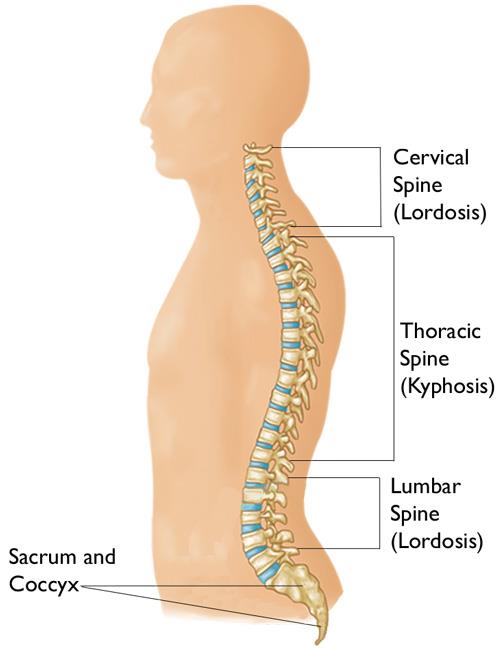 Foraminotomy